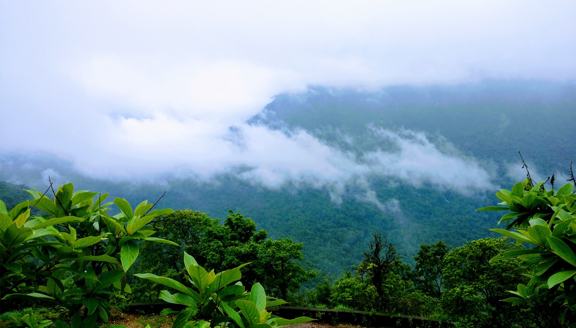 Western Ghats Adventure Tour