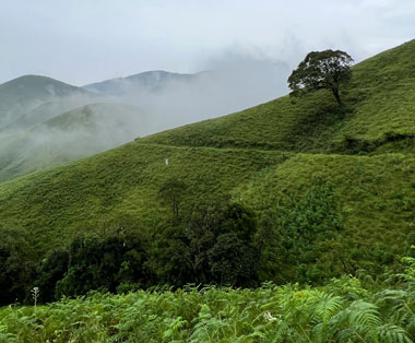 kudremukh karnataka view