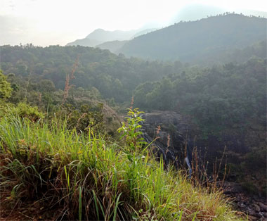 /mallalli falls nature view