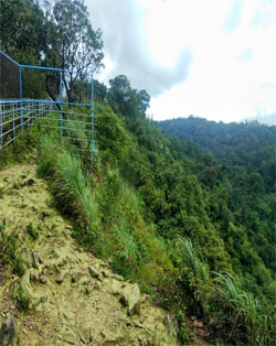 mallalli falls place