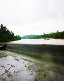 sharavathi river aside
