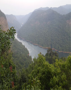 sharavathi river view point