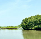 sharavathi-backwater