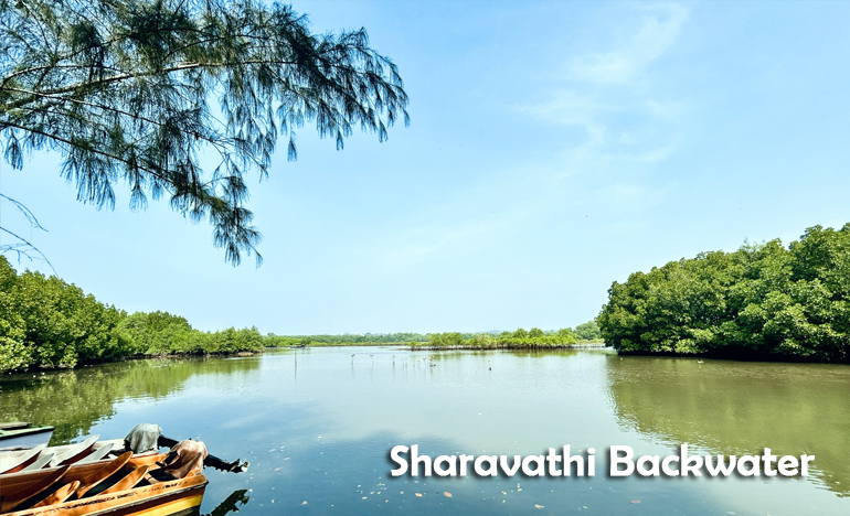 sharavathi-backwater