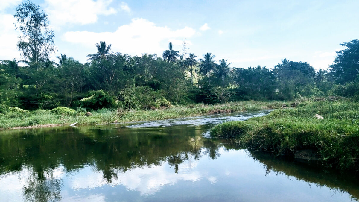 Manchanabele Dam