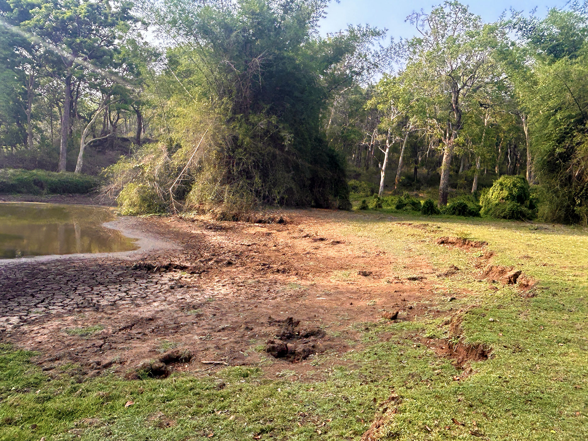 Sakrebyle Elephant Camp
